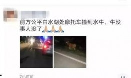 公平镇最新爆料信息,揭秘背后惊人真相